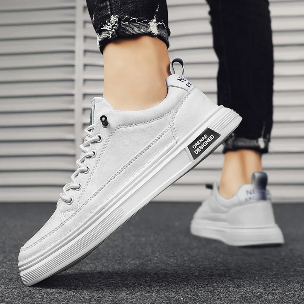 Everyday Sneakers